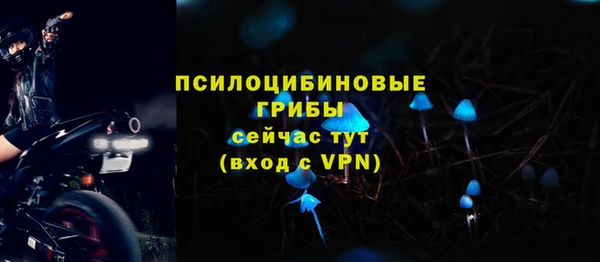 МДПВ Остров