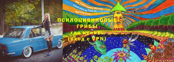 МДПВ Остров